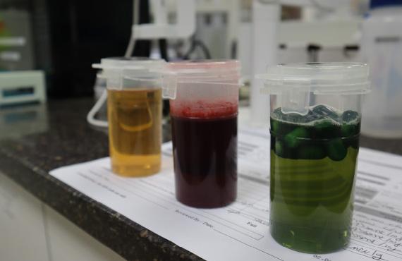 three beakers of coloured liquid